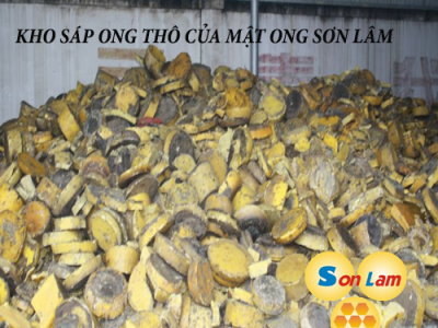 SÁP ONG SƠN LÂM
