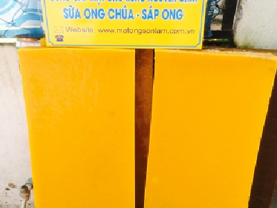 SÁP ONG VÀNG (BEESWAX, YELLOW)