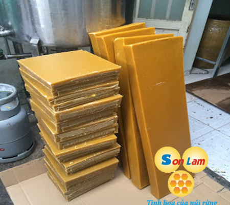 Hình ảnh album-1350
